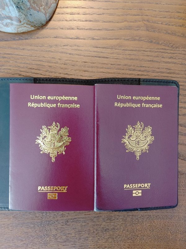 EU Passport - Image 5